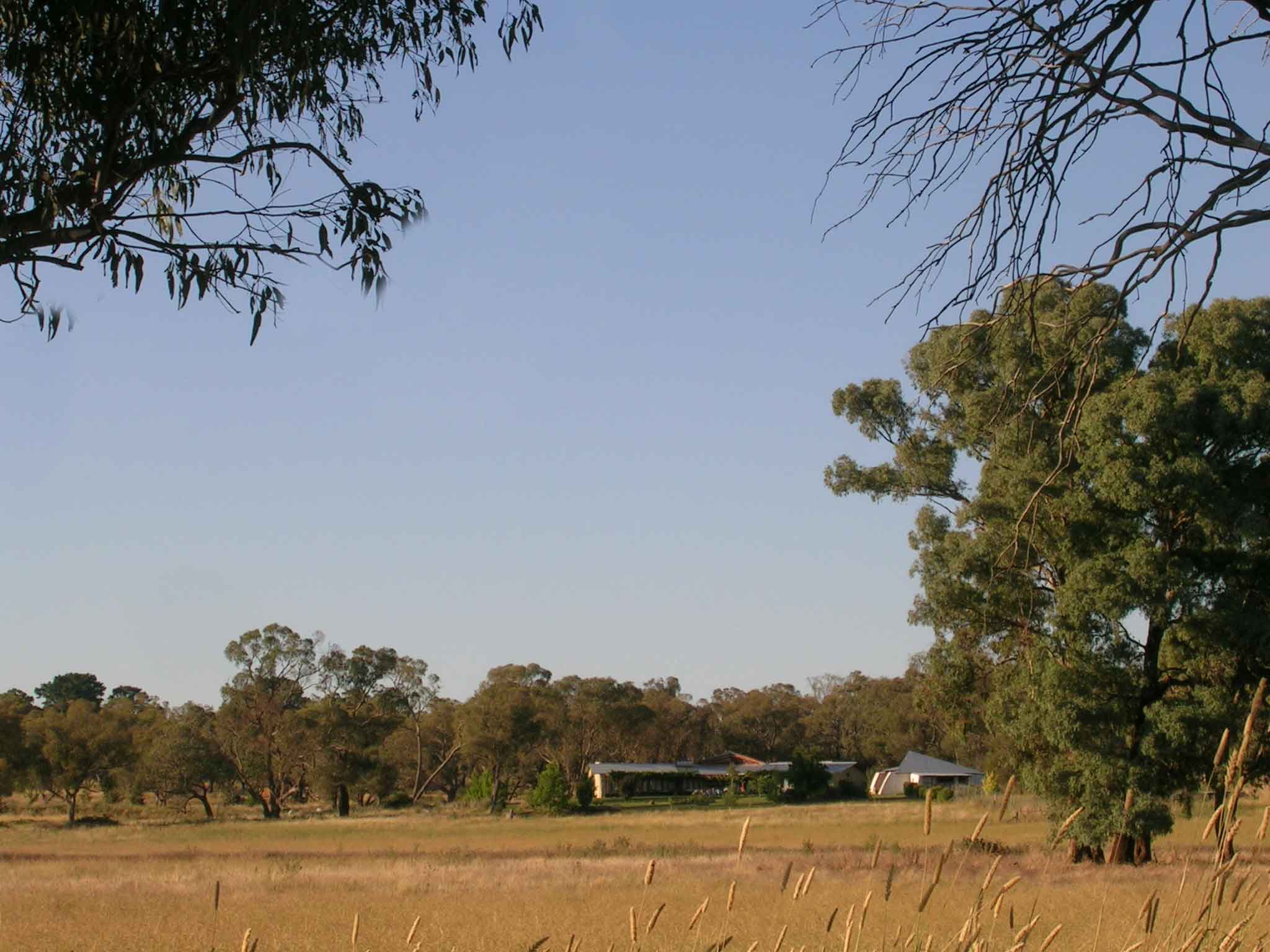 Borenore House in the Landscape
